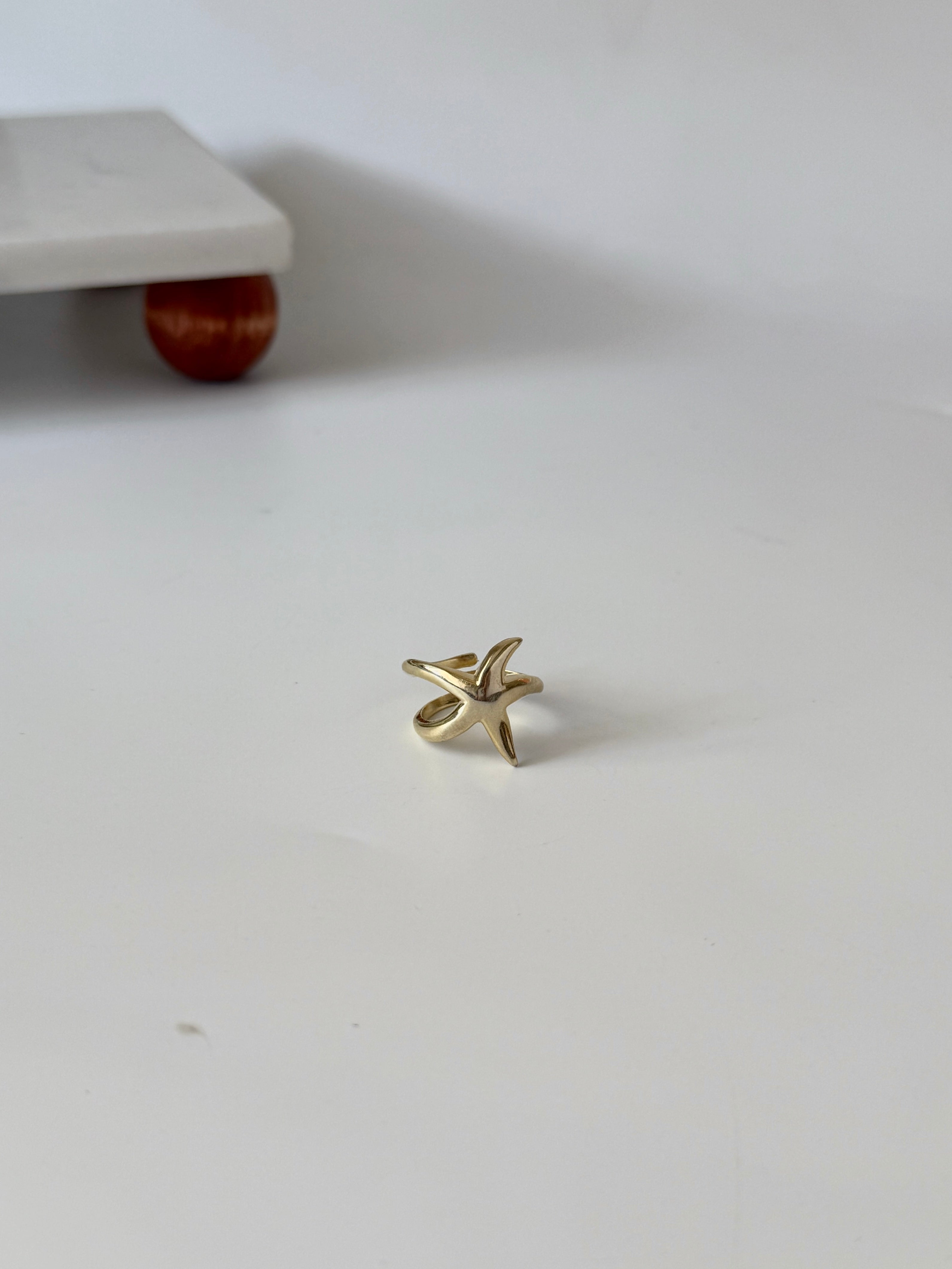 925 Gümüş Deniz Yıldızı Yüzük