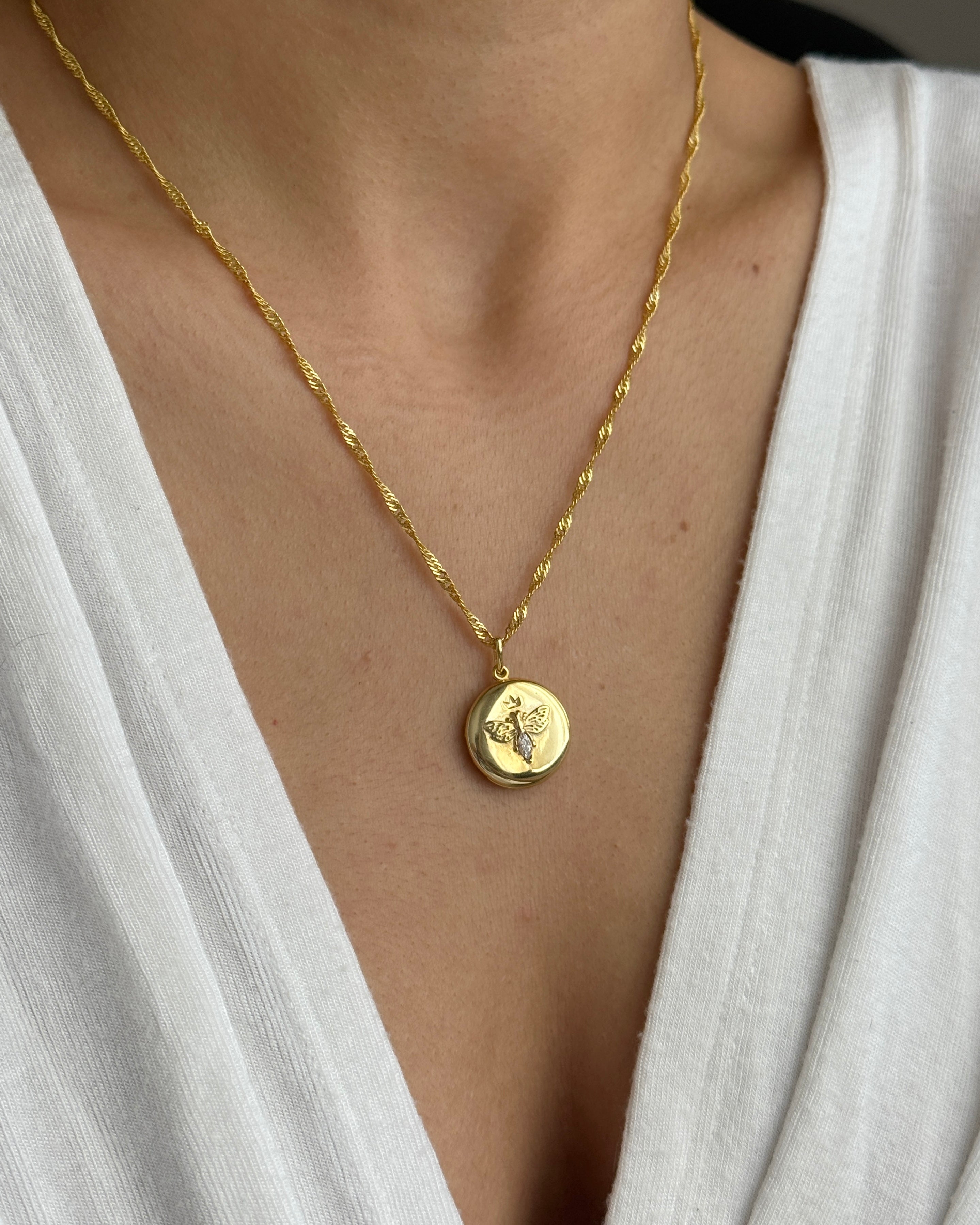 925| Şans Arılı Kapaklı Resim Kolye