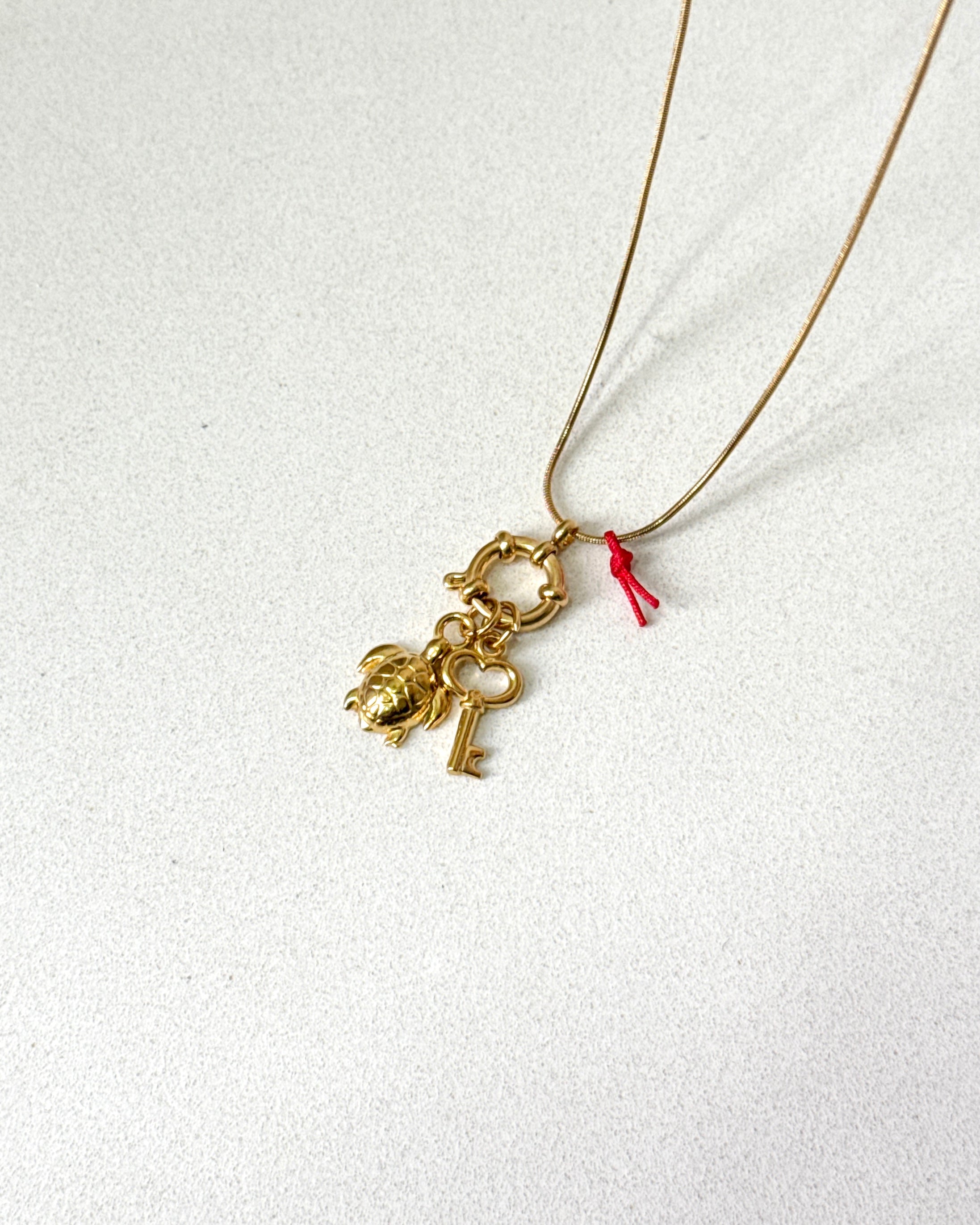 Çelik | Anahtar Manifest Kolyesi