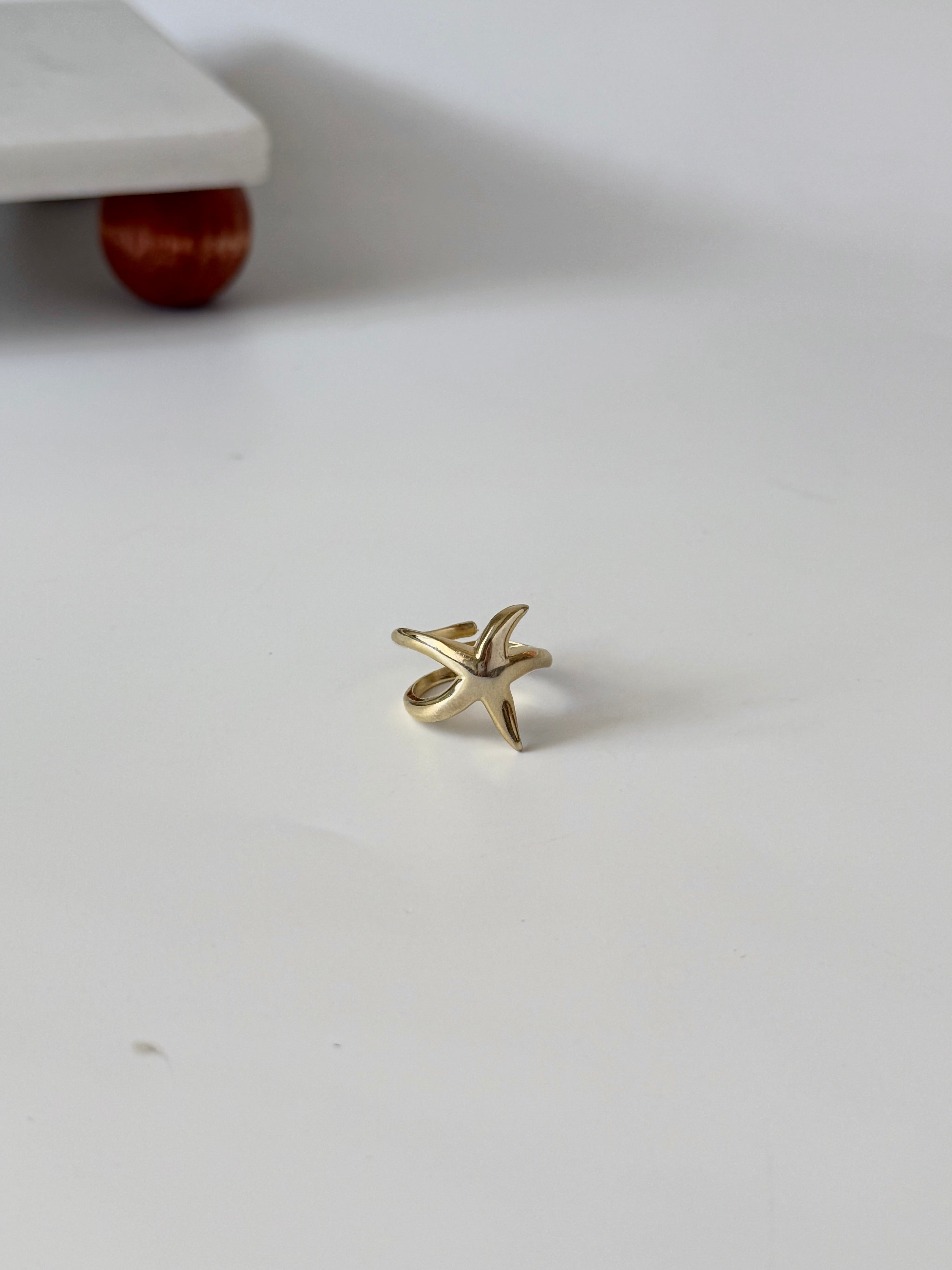 925 Gümüş Deniz Yıldızı Yüzük