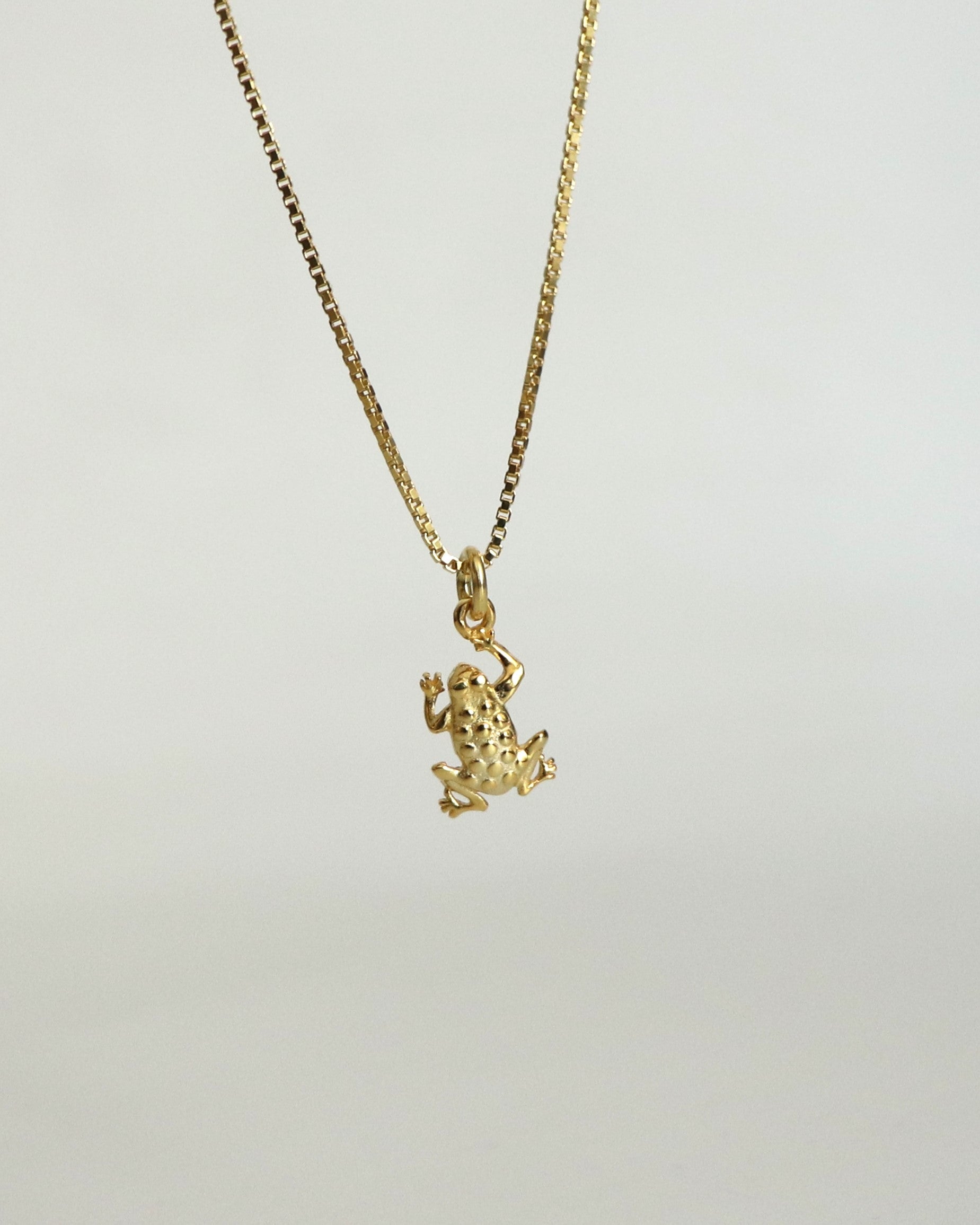 925 | Kurbağa Charm Kolye