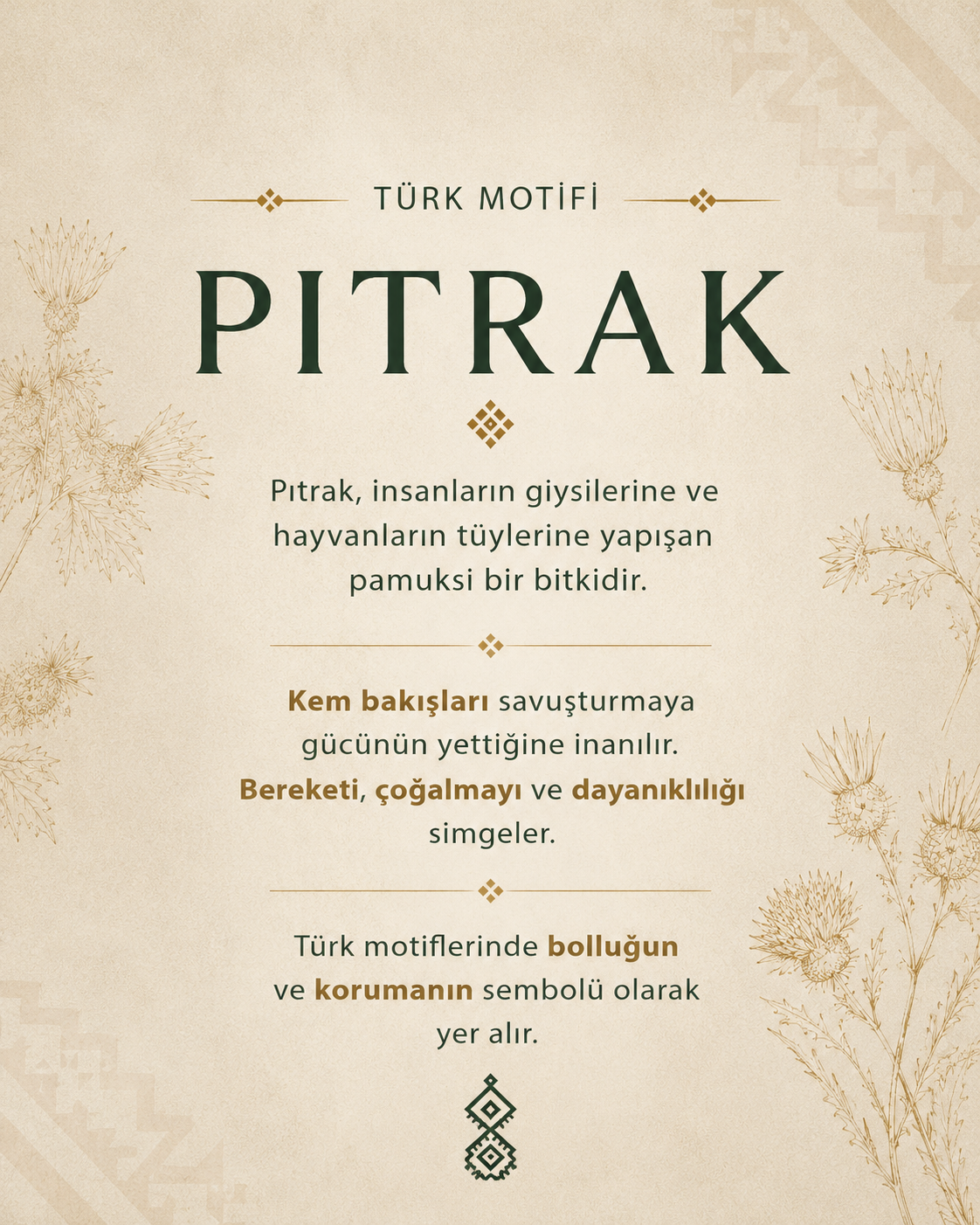 925 | Pıtrak Bereket Kolye