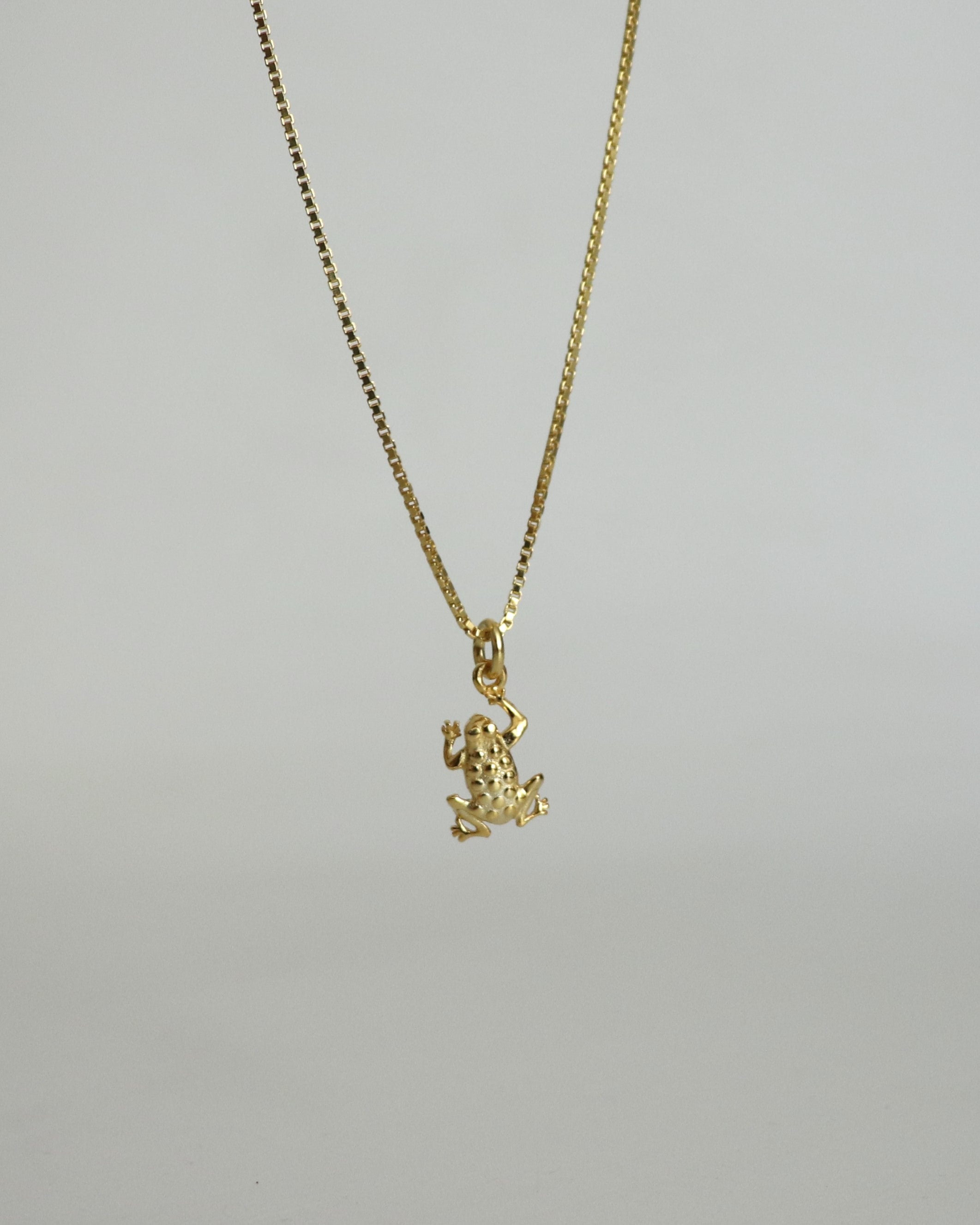 925 | Kurbağa Charm Kolye